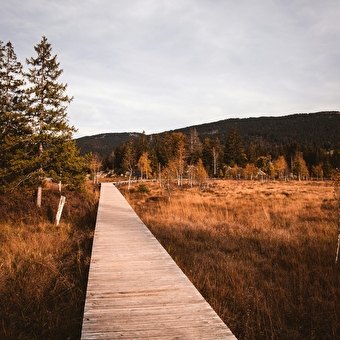 Herfst Wandelen/Well-being Verblijf - 