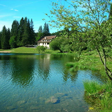 Bar de l'Auberge du Lac Genin