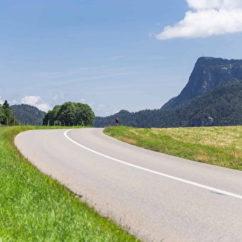 À saute-Frontière - Wielerronde 08 - BELLEFONTAINE