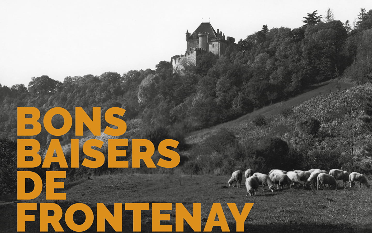 Bons baisers de Frontenay