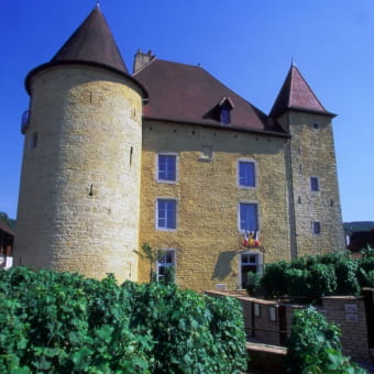 Musée de la Vigne et du Vin du Jura - ARBOIS