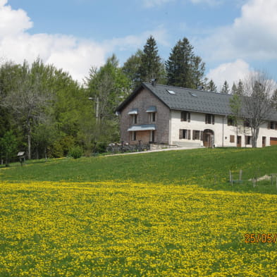Gîte n°G804