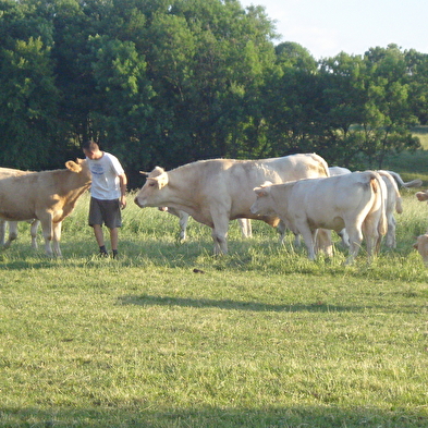 La Ferme de Marcel