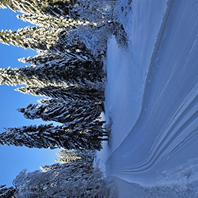 Kerst- en Nieuwjaarsverblijf