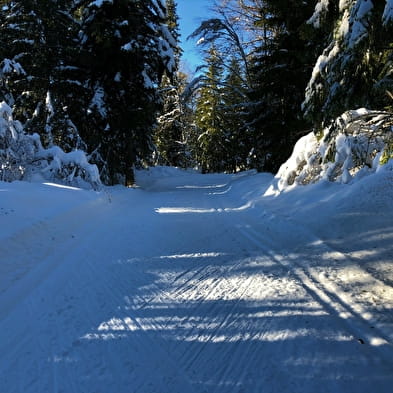 Piste verte de ski de fond de Lachat : Les Plânes