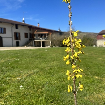 Le Perroux - BOHAS-MEYRIAT-RIGNAT