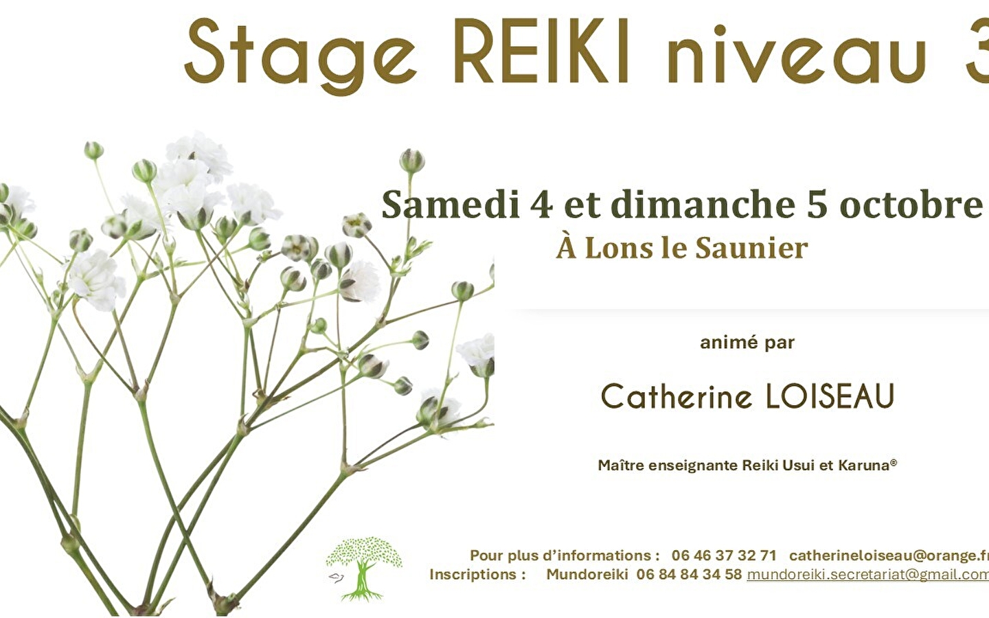 Reiki Usui niveau 3 cursus
