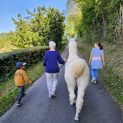 Lama trektocht