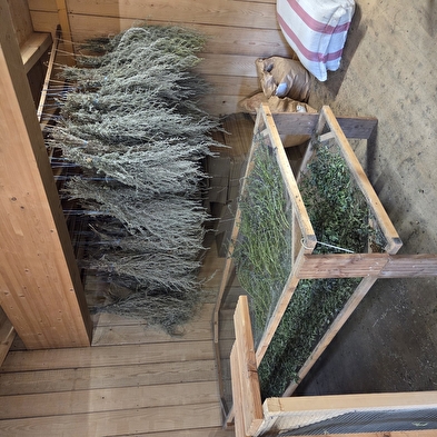 Distillerie Marguet-Champreux