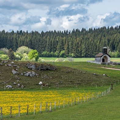 Fankarstique wandeling in Courvières: wanneer steen zijn verhaal vertelt