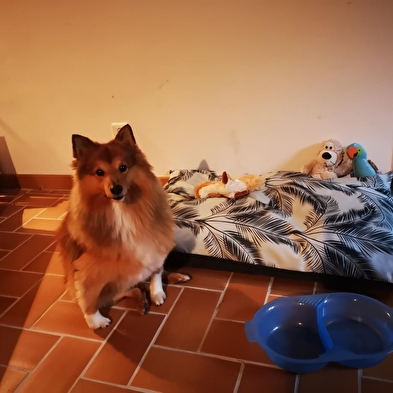 Gîte de Sonthonnax la Montagne