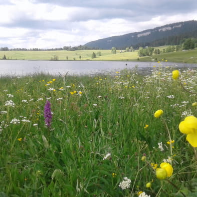 Roche Bernard en Tour des Lacs