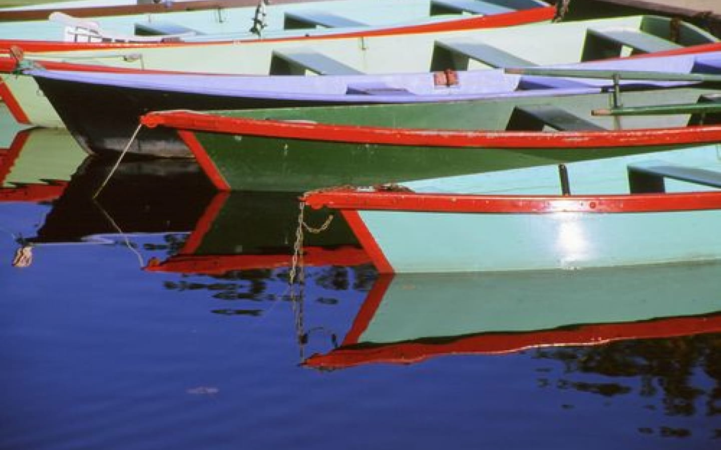 Location de barques - Tabac Presse Faure