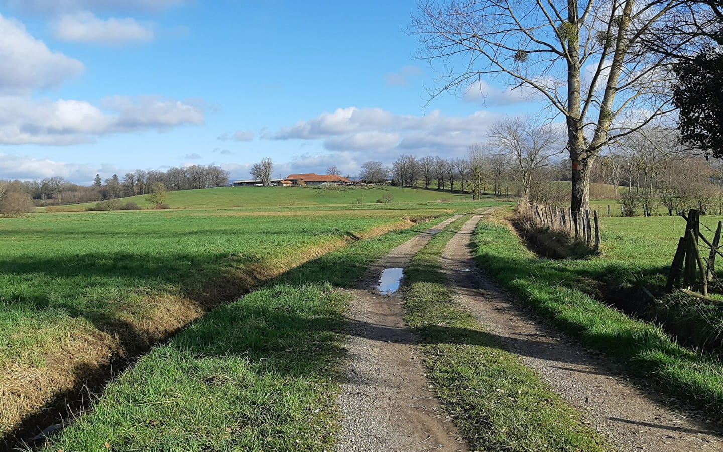 Beaupont - Etang Les Baisses (VTT)