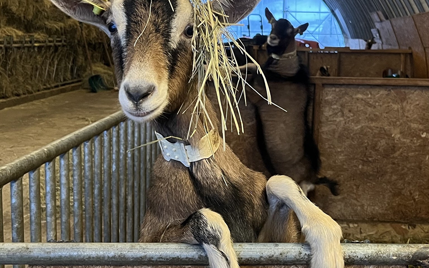 La ferme de Menthières