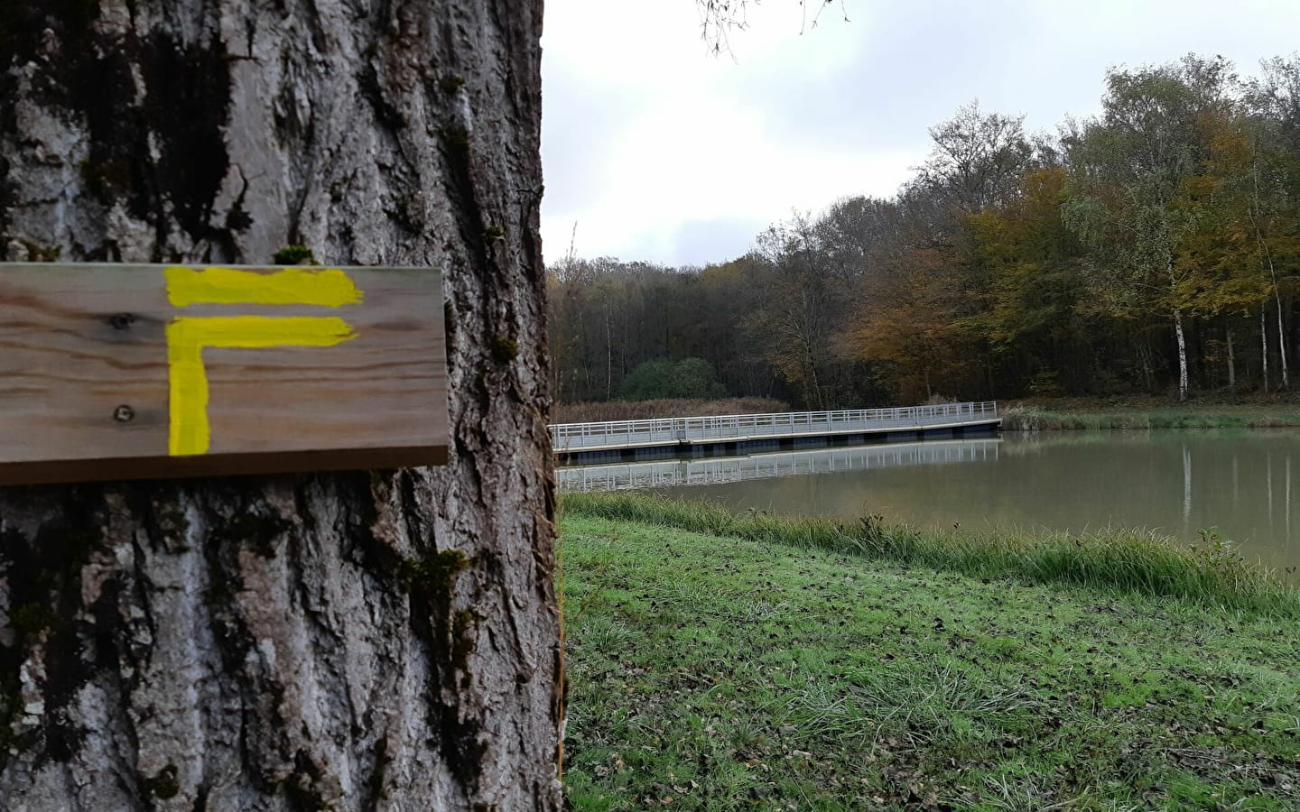 Coligny - Etang de Fougemagne (VTT)