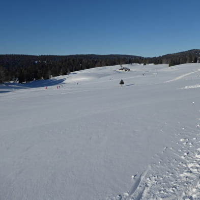 Piste de ski de fond : Les Sonnailleys