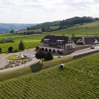 Domaine de la Pinte zoet & wijn masterclass