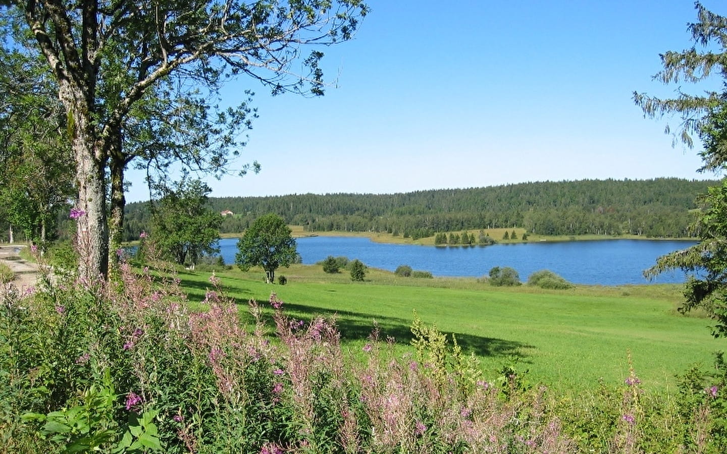 Lac des Mortes