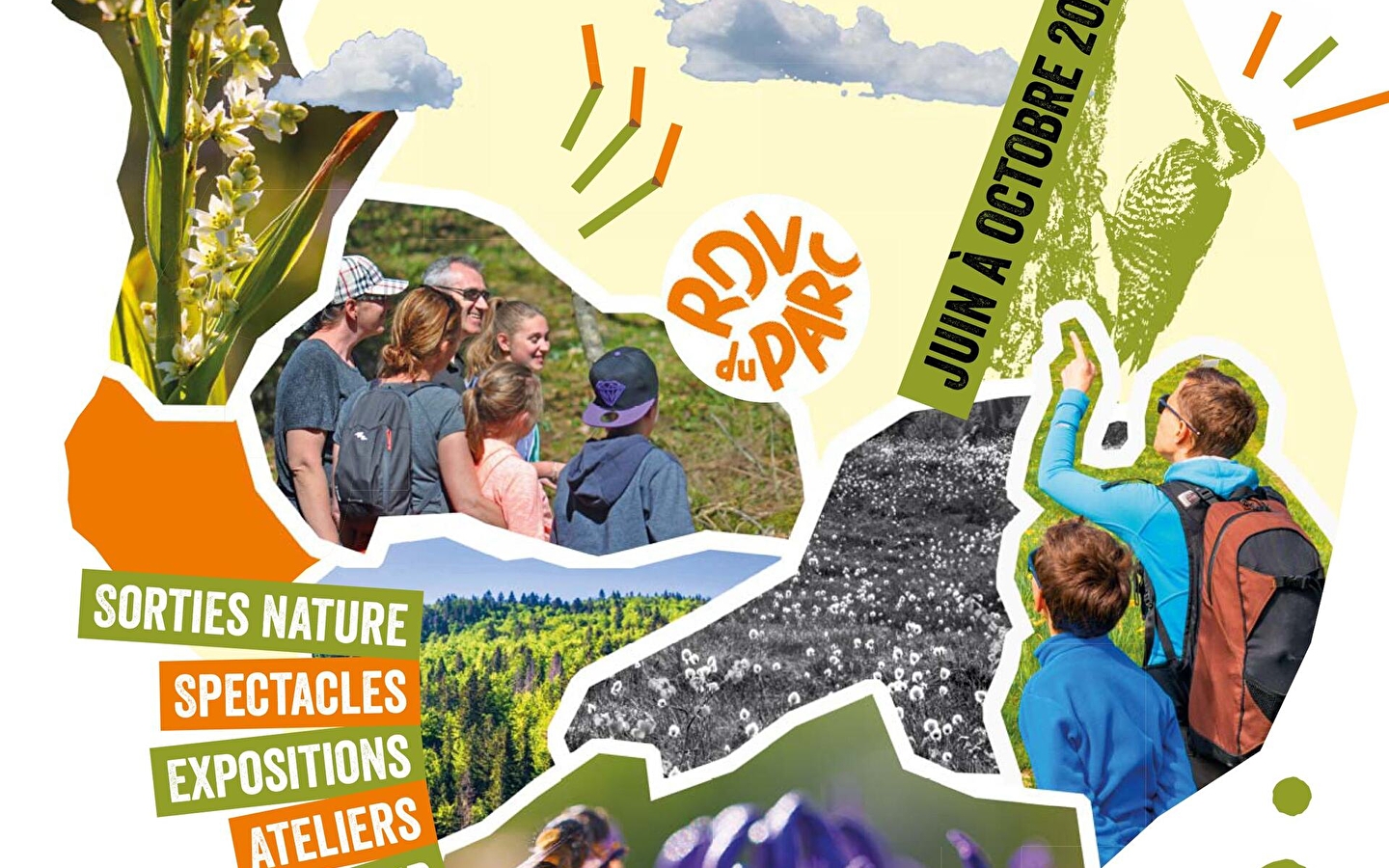 Creatieve workshop: 'De kunst van het afdrukken van de natuur