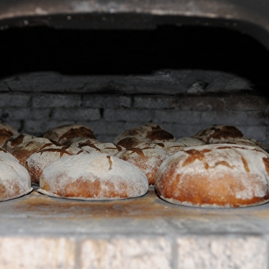 Brood en brioches bakken - Ecomuseum Maison Michaud