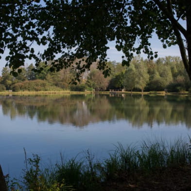 La Sablière de Geneuille - Kwetsbaar natuurgebied