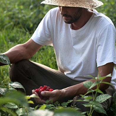 Bezoek aan een biologische fruitboerderij - Le Champ des Gourmands