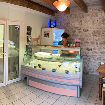 Chèvres et brebis de Samonod - VALROMEY-SUR-SERAN