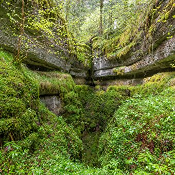 Les Aventures Fankarstiques - O van het bos - FRASNE