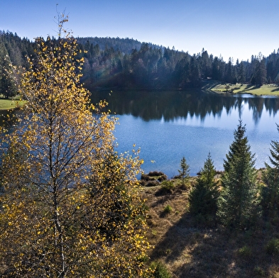 Lac Genin et ses tourbières