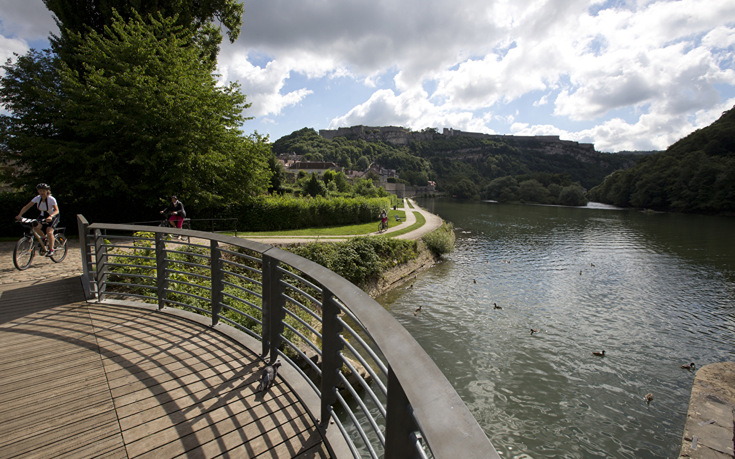 Biodiversiteit langs de Via Francigena