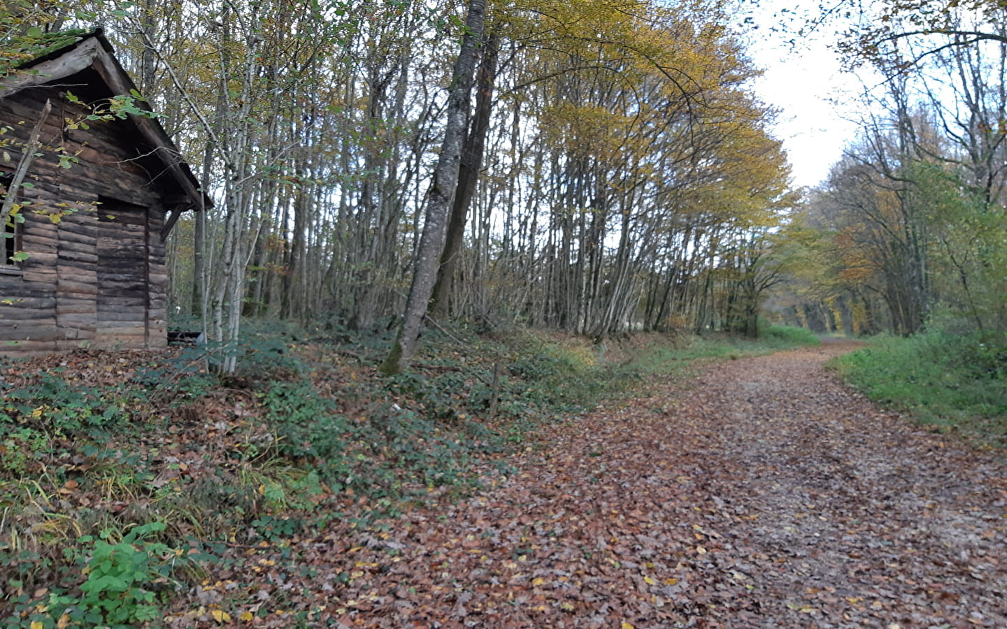 Bois de Fougemagne - Vallées Solnan et Sevron (VTT)