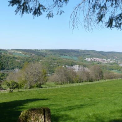 Circuit de randonnée pédestre - le mont dommage