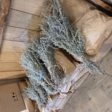 Distillerie Marguet-Champreux