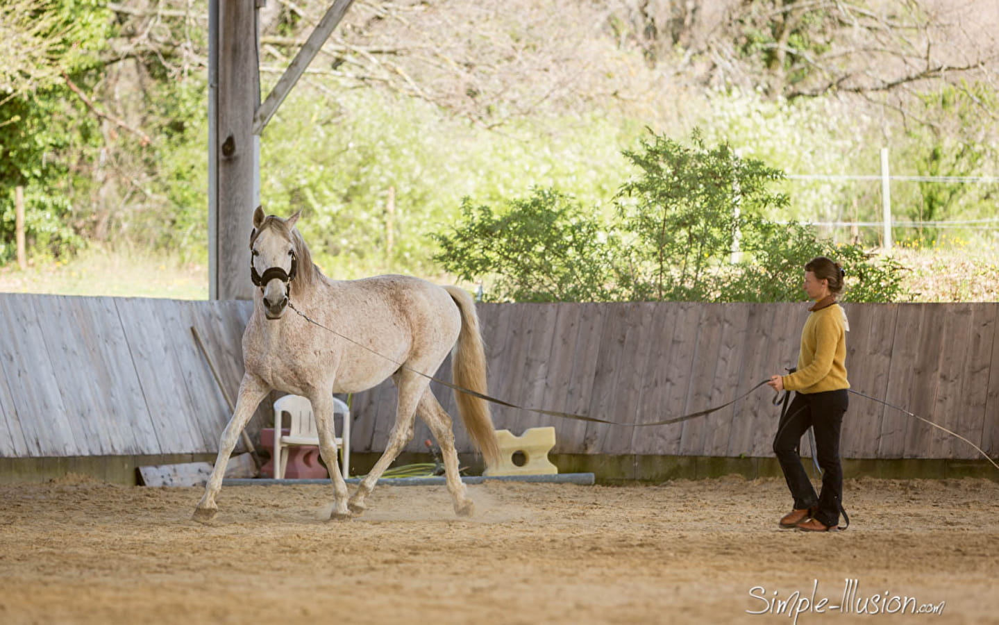 En als we naar de paarden zouden luisteren: 2-daagse ruitercursus