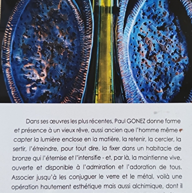Beeldententoonstelling Paul Gonez