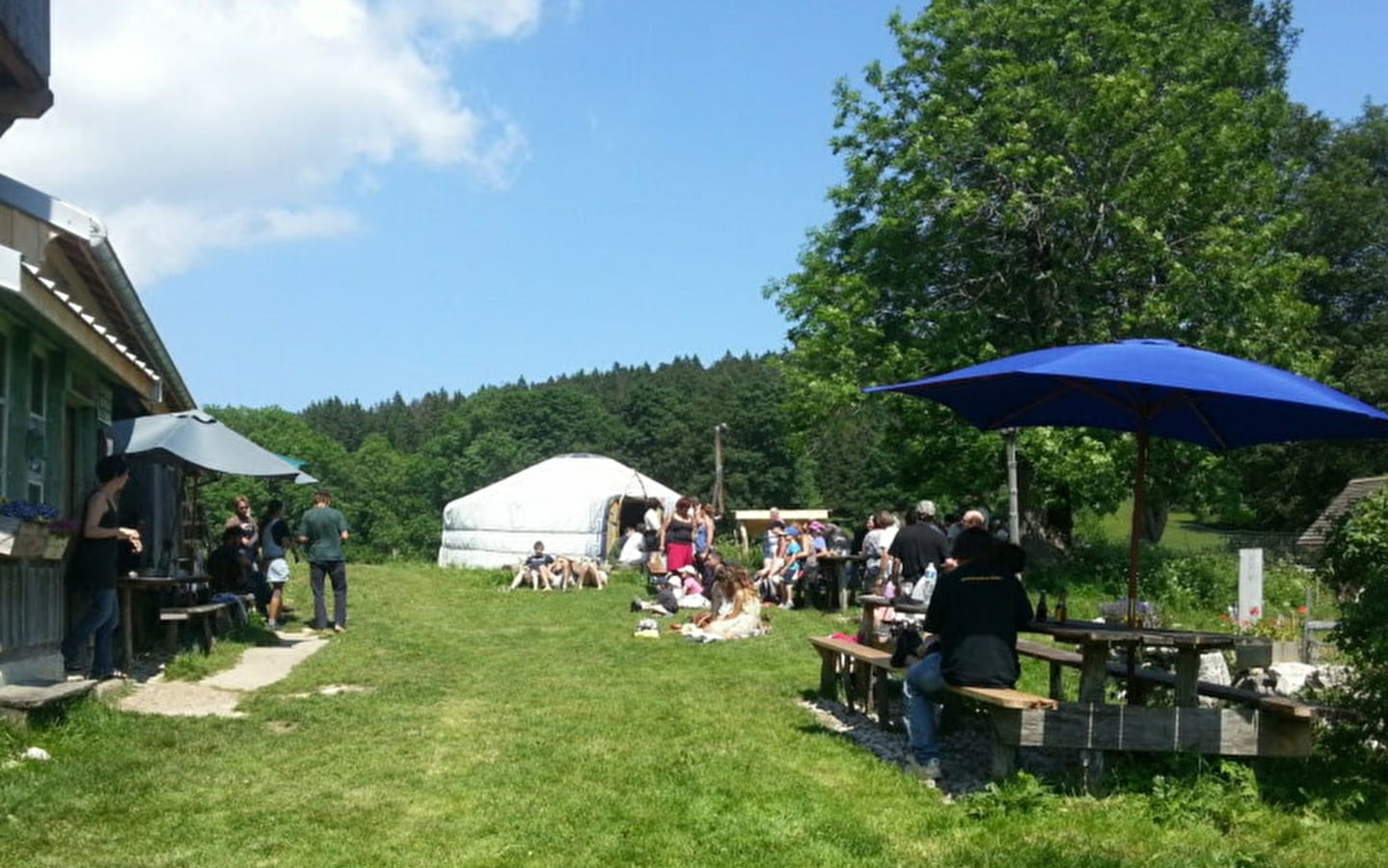 Bezoek aan de bergweiden met de herder en middagsnack in het chalet