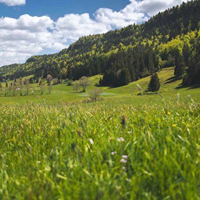 Arcadienne - Mountainbiken - n°94