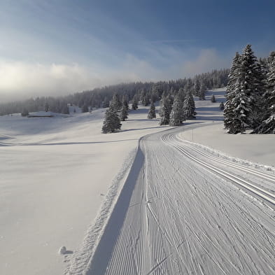 Piste de ski de fond : La Germine