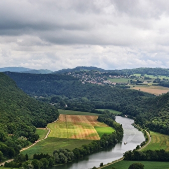 Sentier de Crête en Bois Rapin - MONTFERRAND-LE-CHATEAU