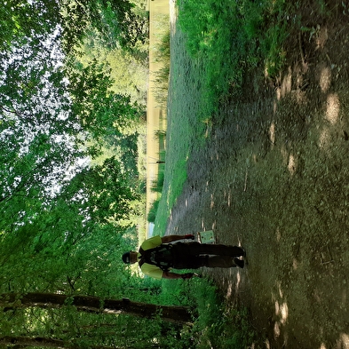 De Tour de Burgille