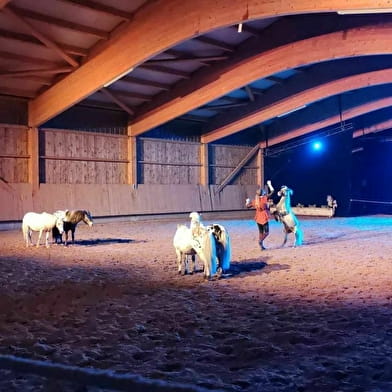 Diner en paardenshow 