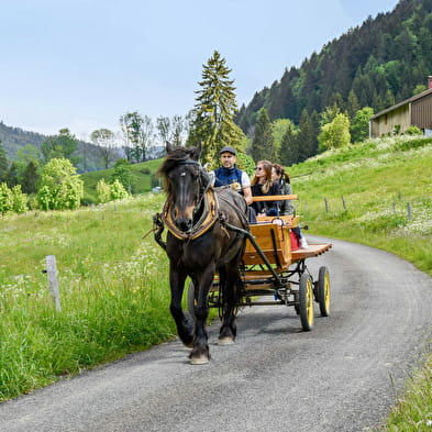 En été, promenade en calèche