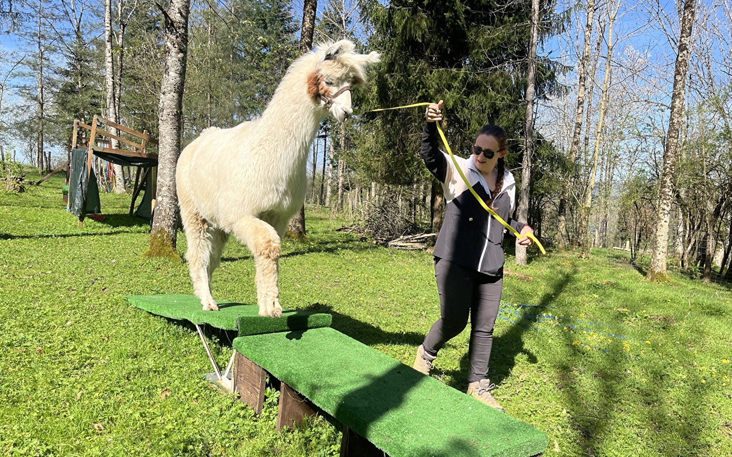 Lama trektocht