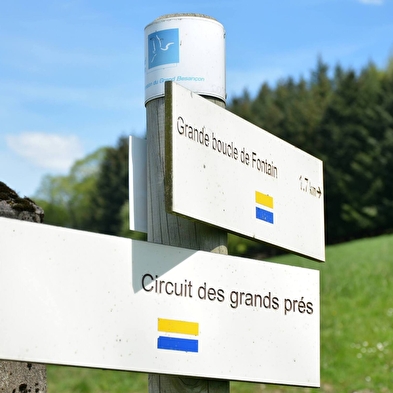 Grote gordel van Fontain 
