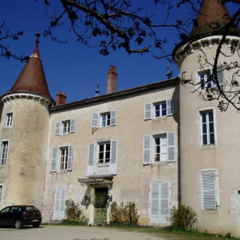 Château de Rosy - NIVIGNE ET SURAN