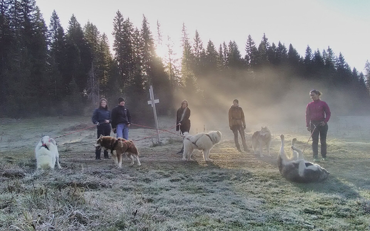 Les Équipages Adam's