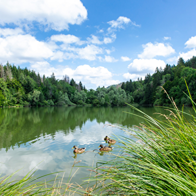 Lac de Cuttura