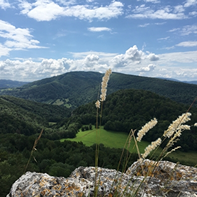 Circuit van Brisepoutot Batterie des Roches
