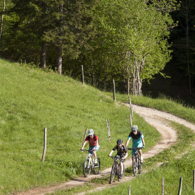 De tocht van Longchaumois - MTB / MTB AE - nr. 28